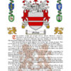 Martin Surname History (Origin & Meaning) with Coat of Arms (Family Crest) Instant Download (White Background)