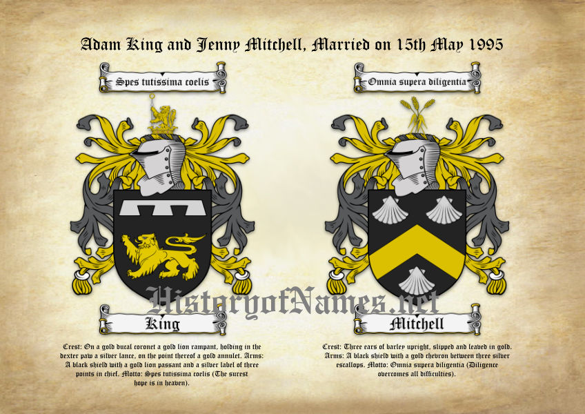 Double Coats of Arms (Family Crests) Download