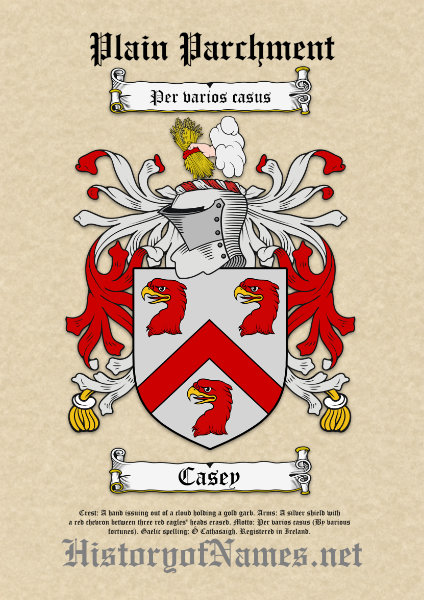 Single Coat of Arms Family Crest Plain Parchment Download