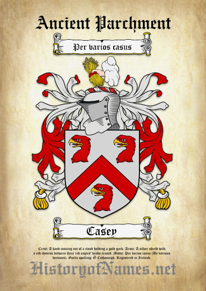 Single Coat of Arms Family Crest Download.jpg